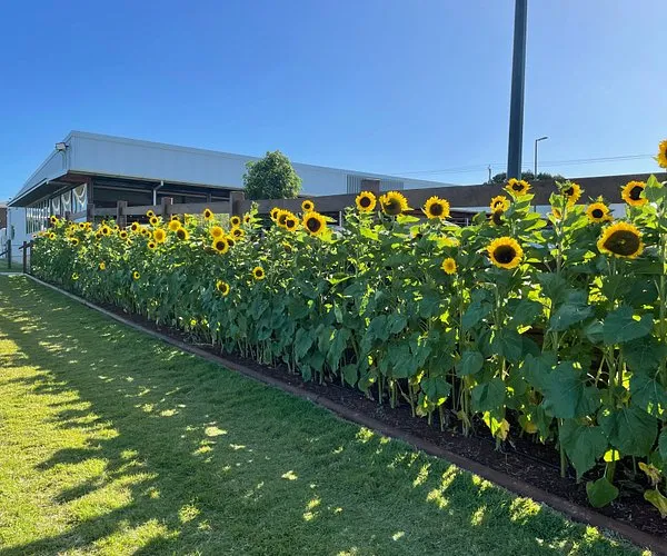 Wellington Point Farmhouse Restaurant